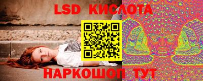 ПСИЛОЦИБИНОВЫЕ ГРИБЫ Шелехов